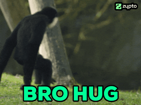 8055f49e-4877-4b79-9c42-848e9ce3f531.gif