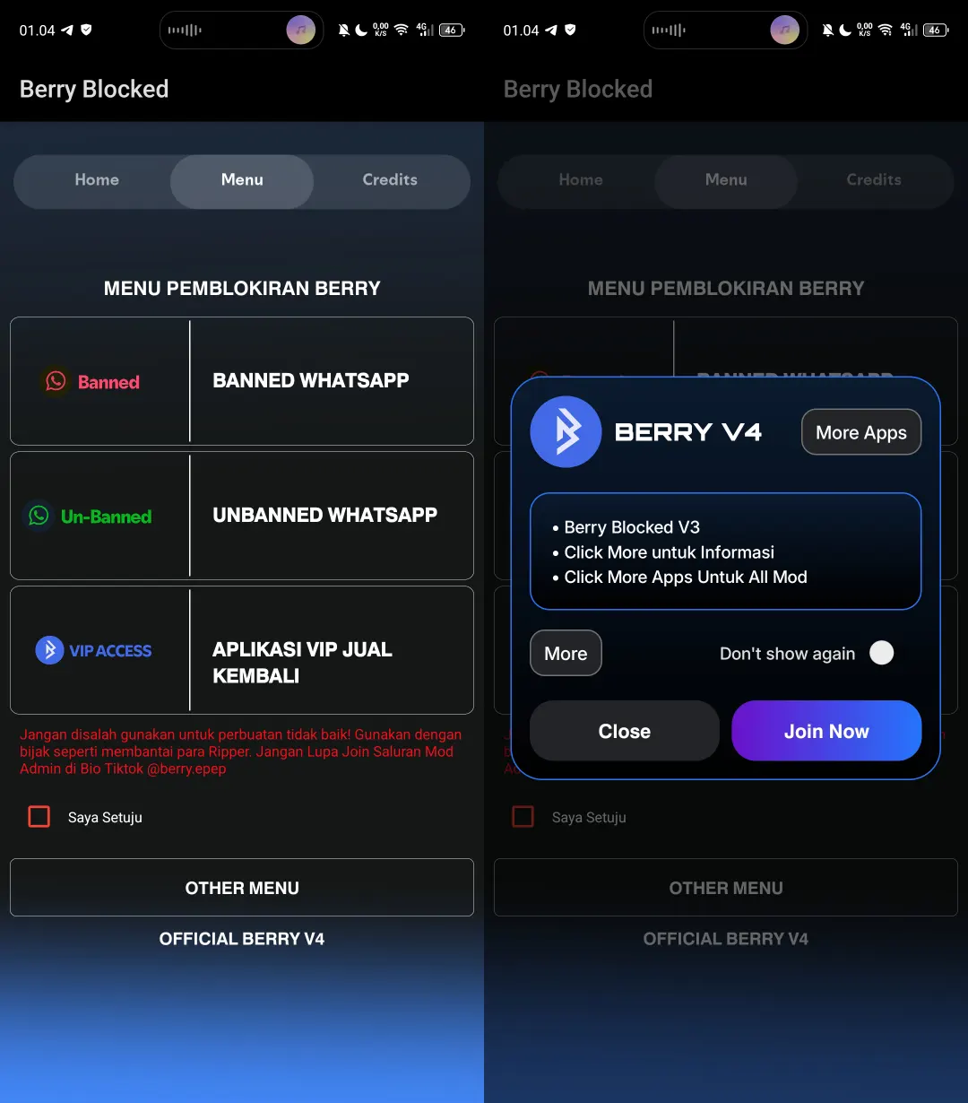 Preview Berry Blocked