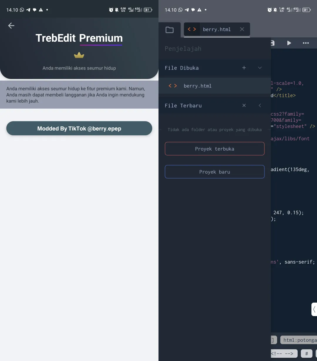 Preview TrebEdit