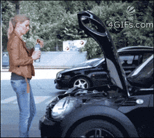 fd2d809f-4585-4da0-9b79-4edcdf30d96f.gif