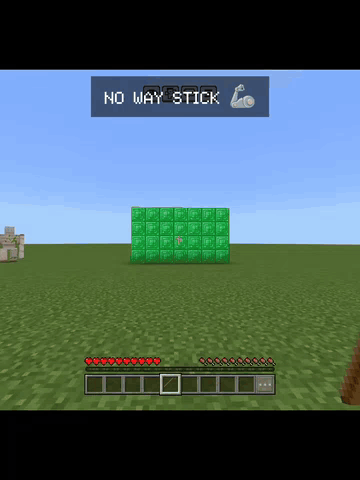 NO WAY Stick In Action