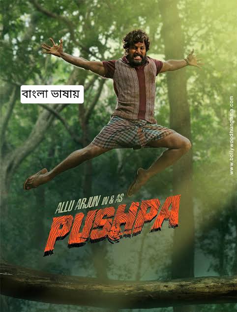 Pushpa: the Rise (2021)