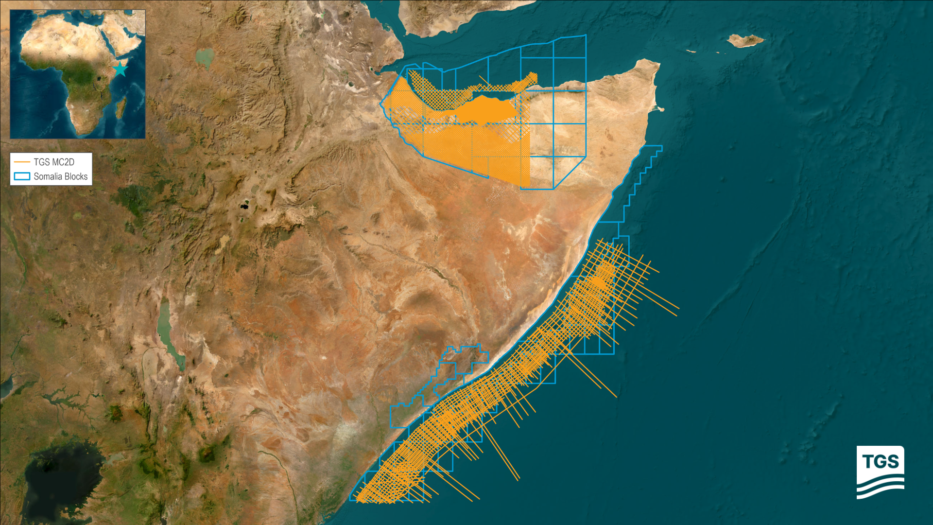 Official map from TGS showing seismic and aeromagnetic data coverage in the Horn of Africa.