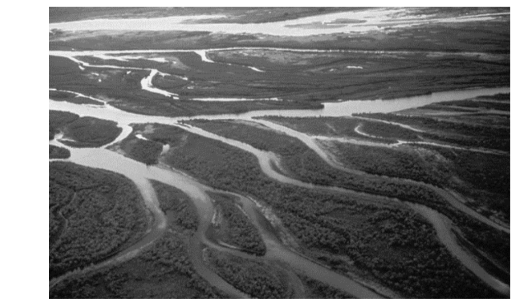 Meandering River