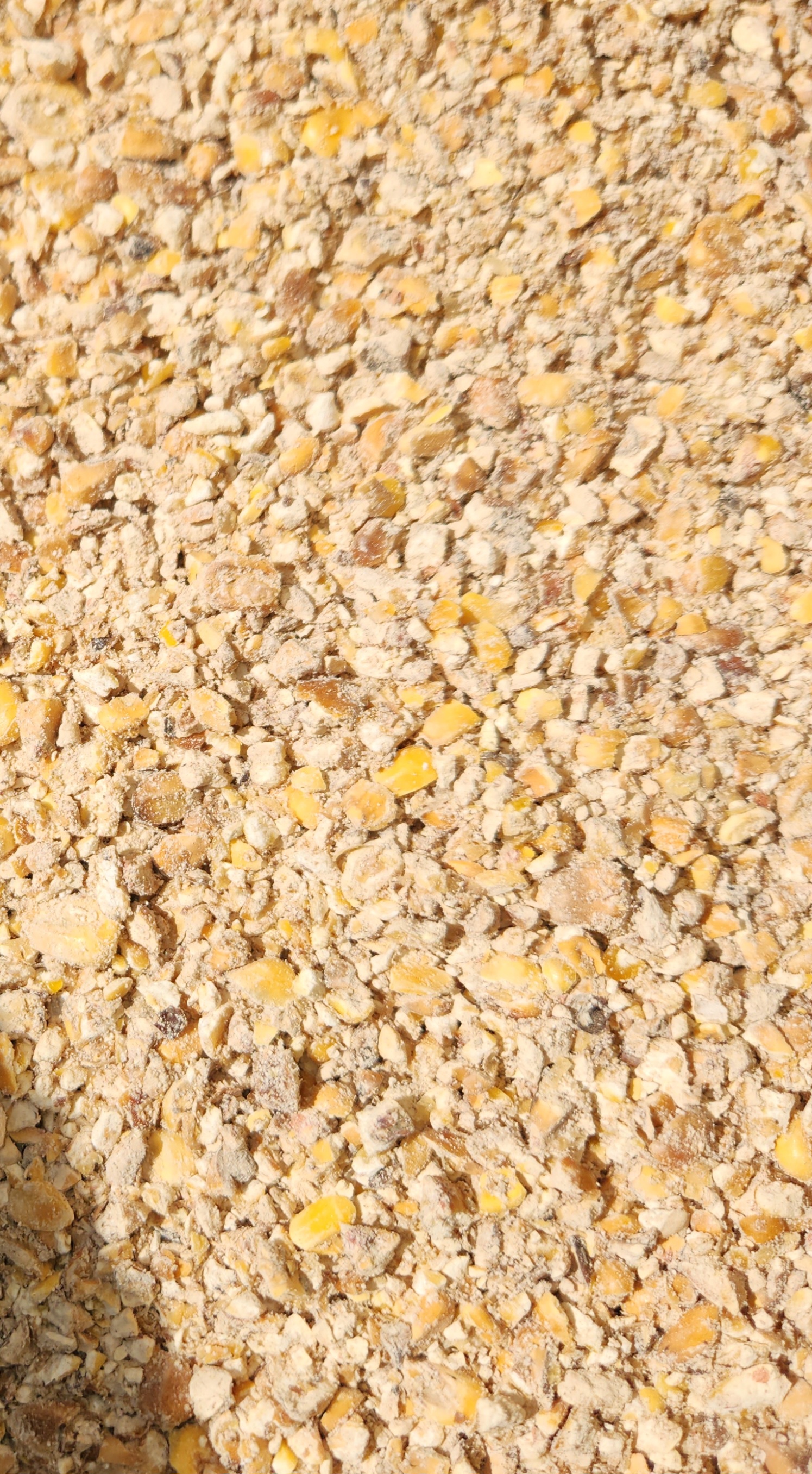 Rolled Corn