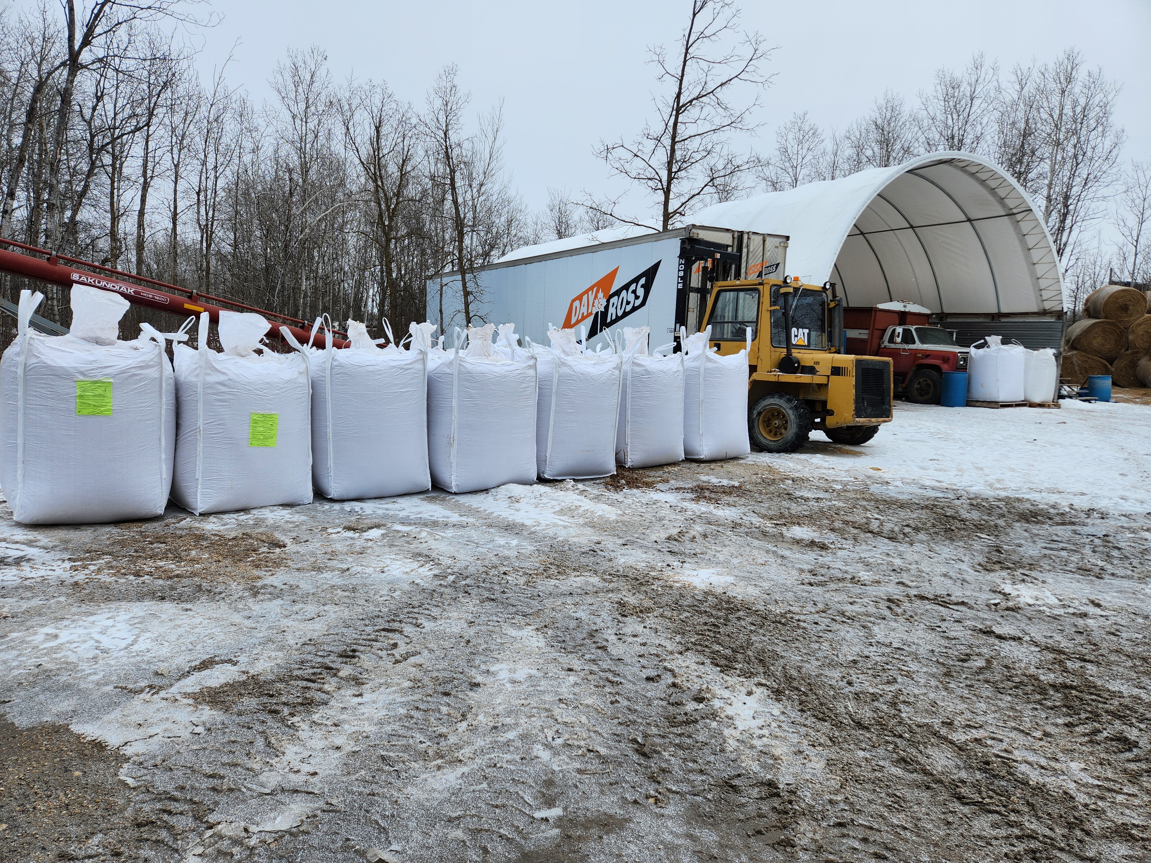 Bulk Grain & Feed Storage
