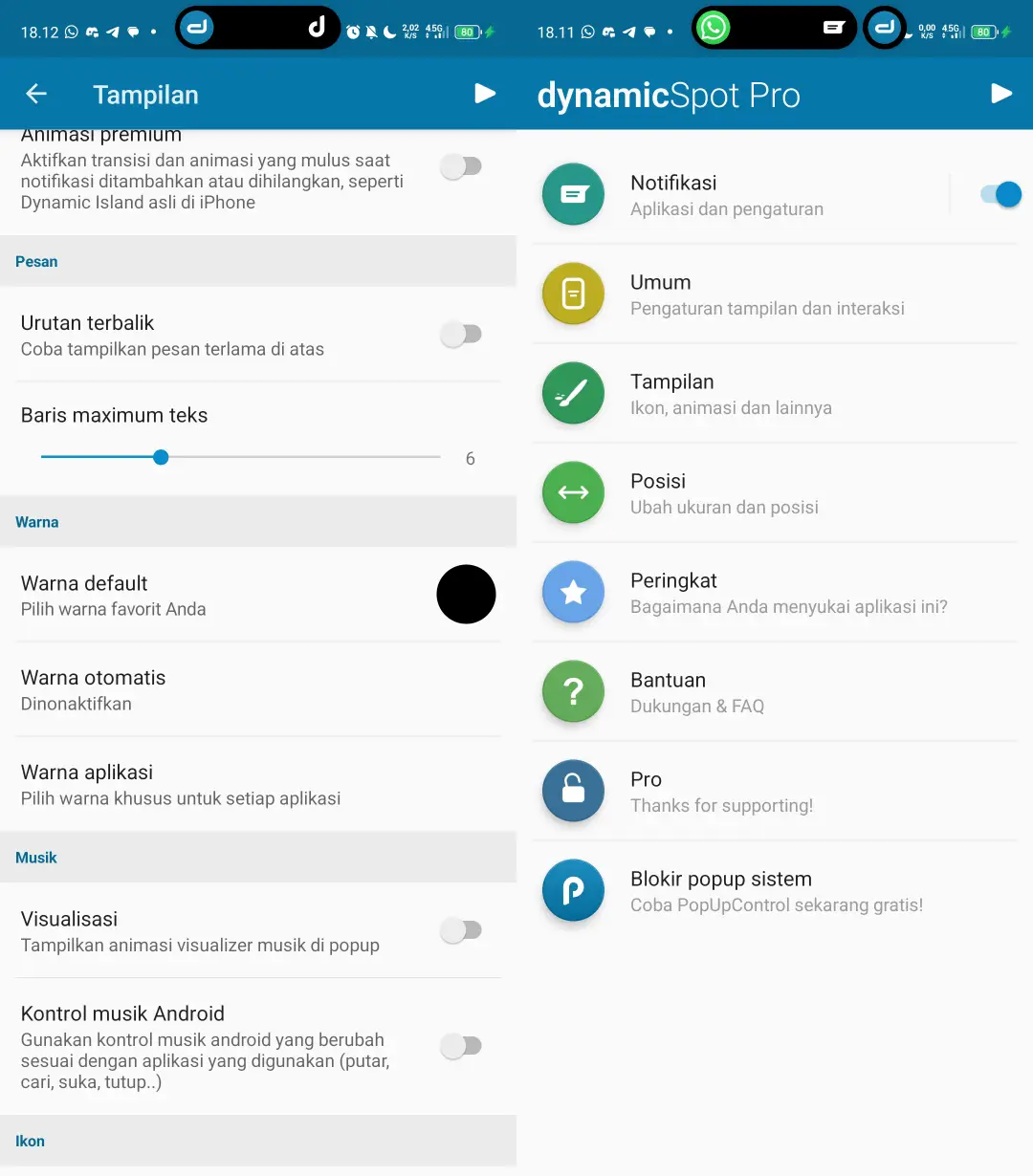 Preview DynamicSpot Pro
