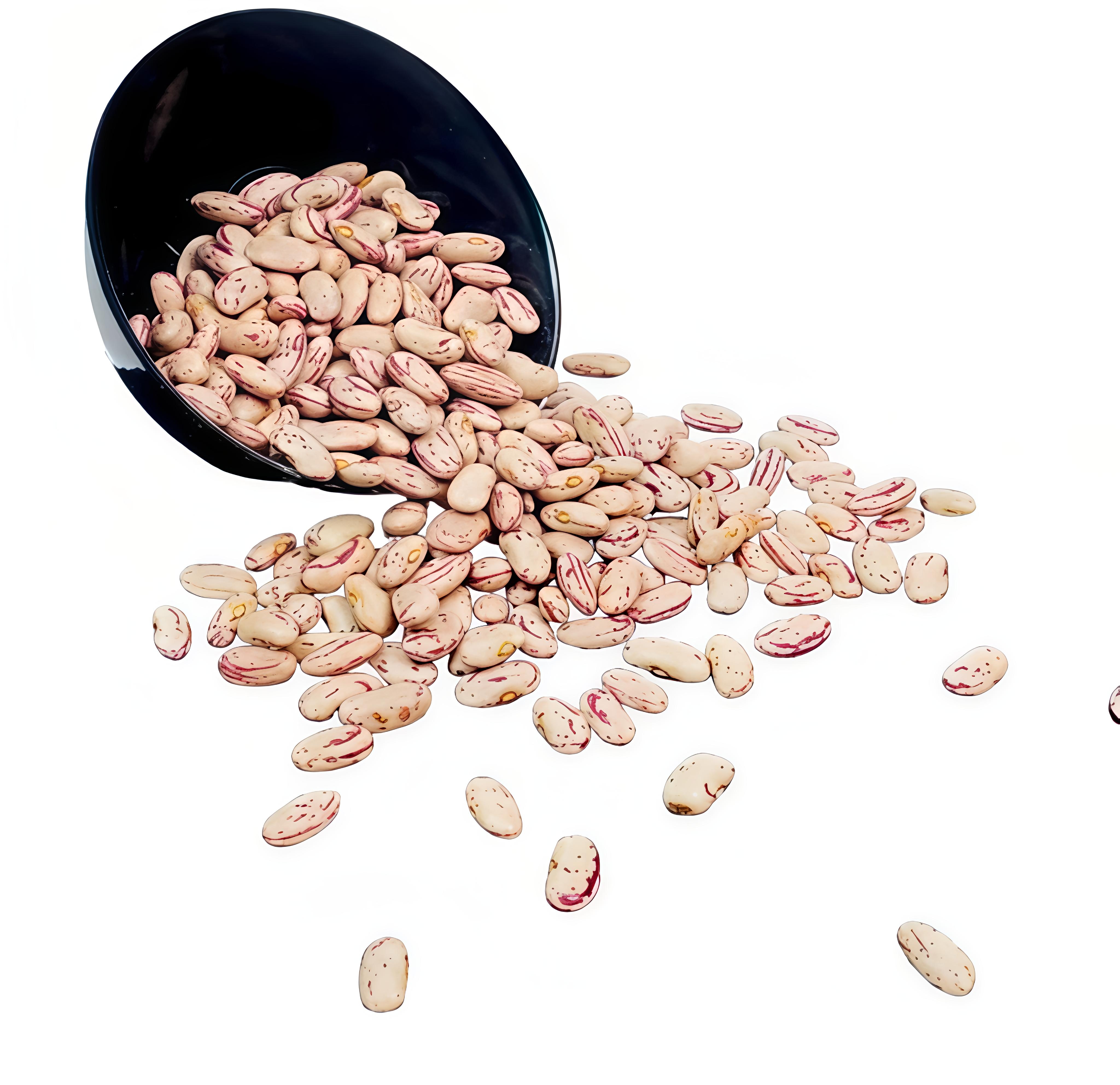 Chitra rajma loose