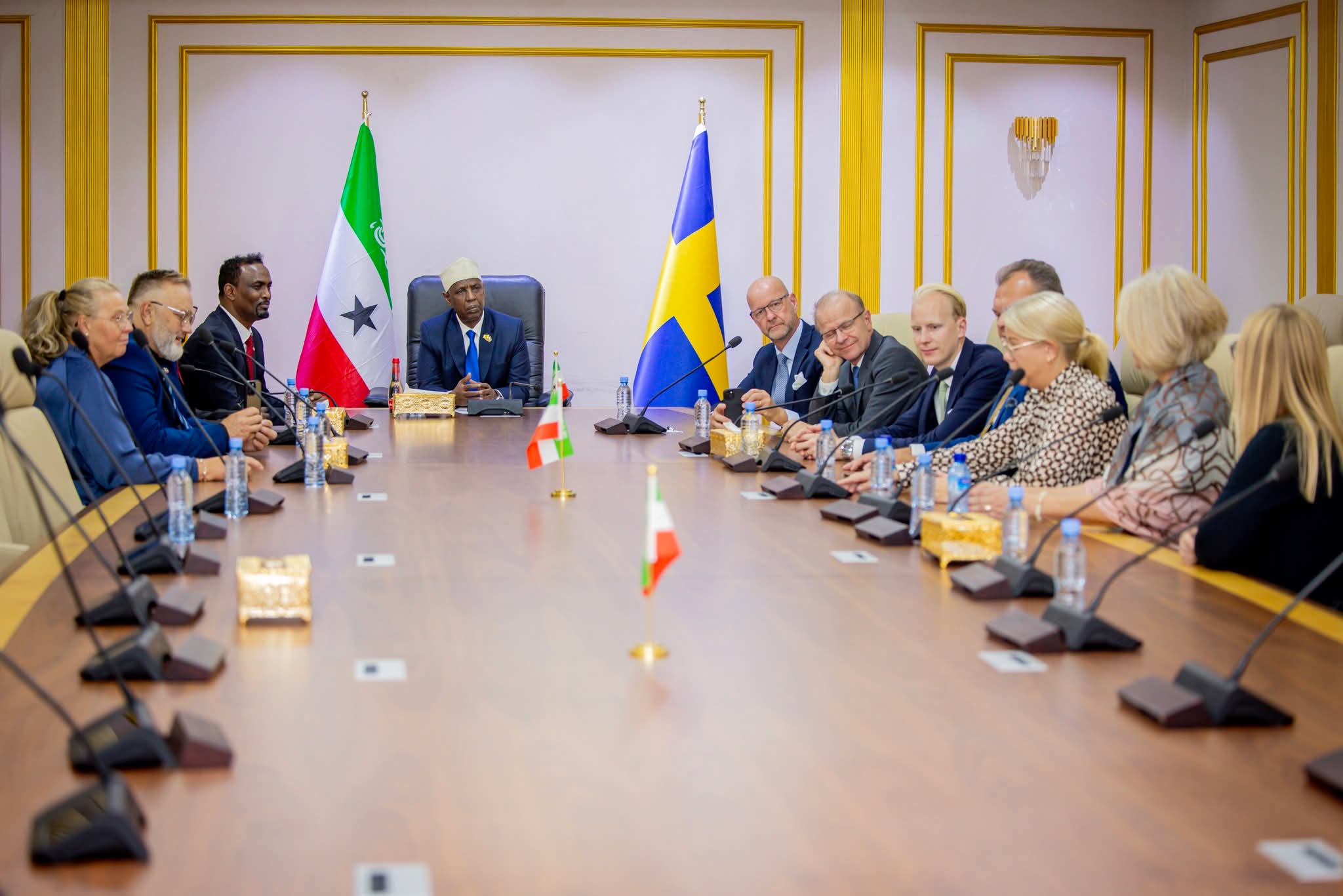 Landmark meeting between Somaliland's leadership and Swedish lawmakers