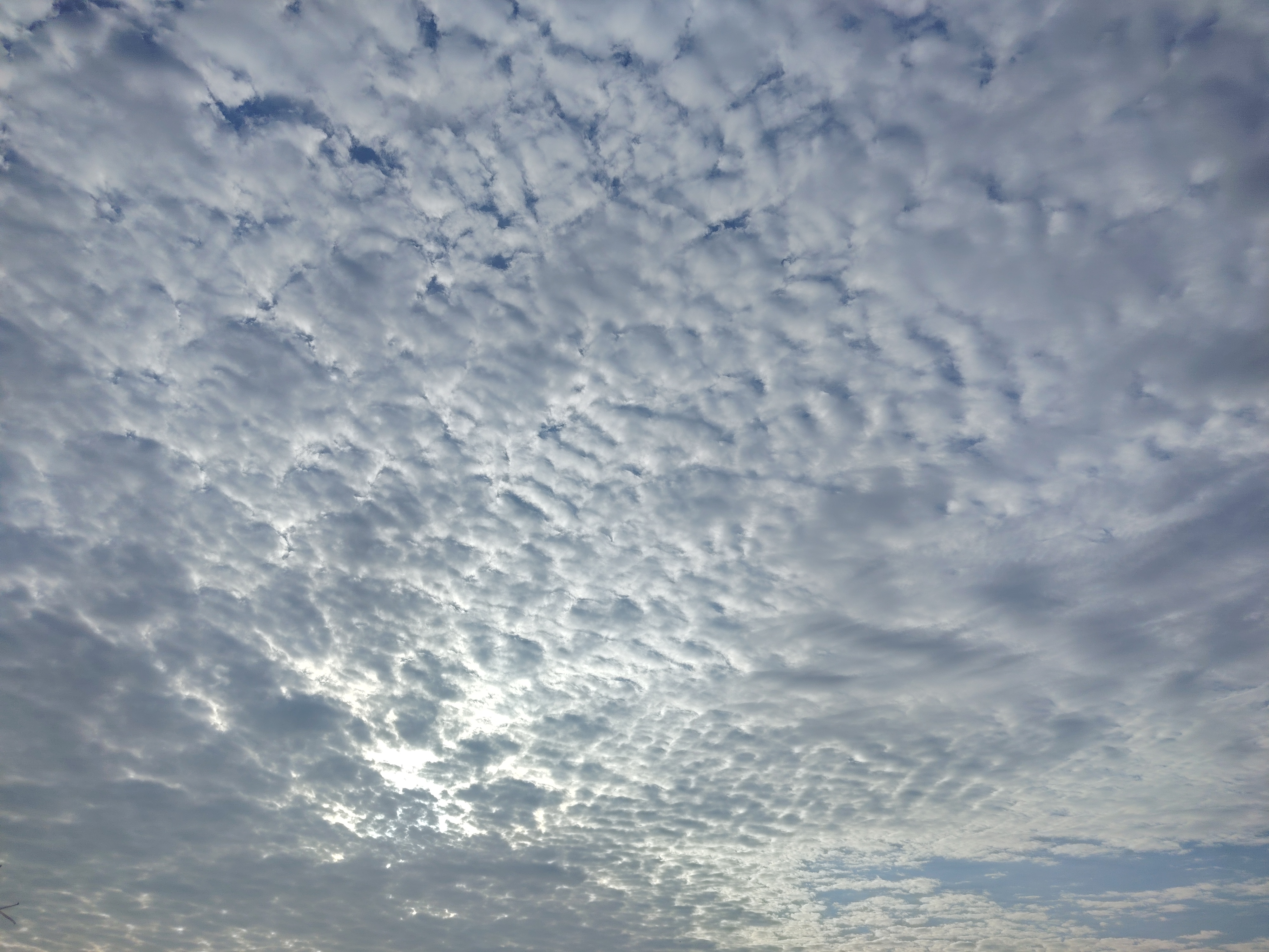 9ab9dc7b-9e08-4faa-94dc-e773dd35f124.jpg