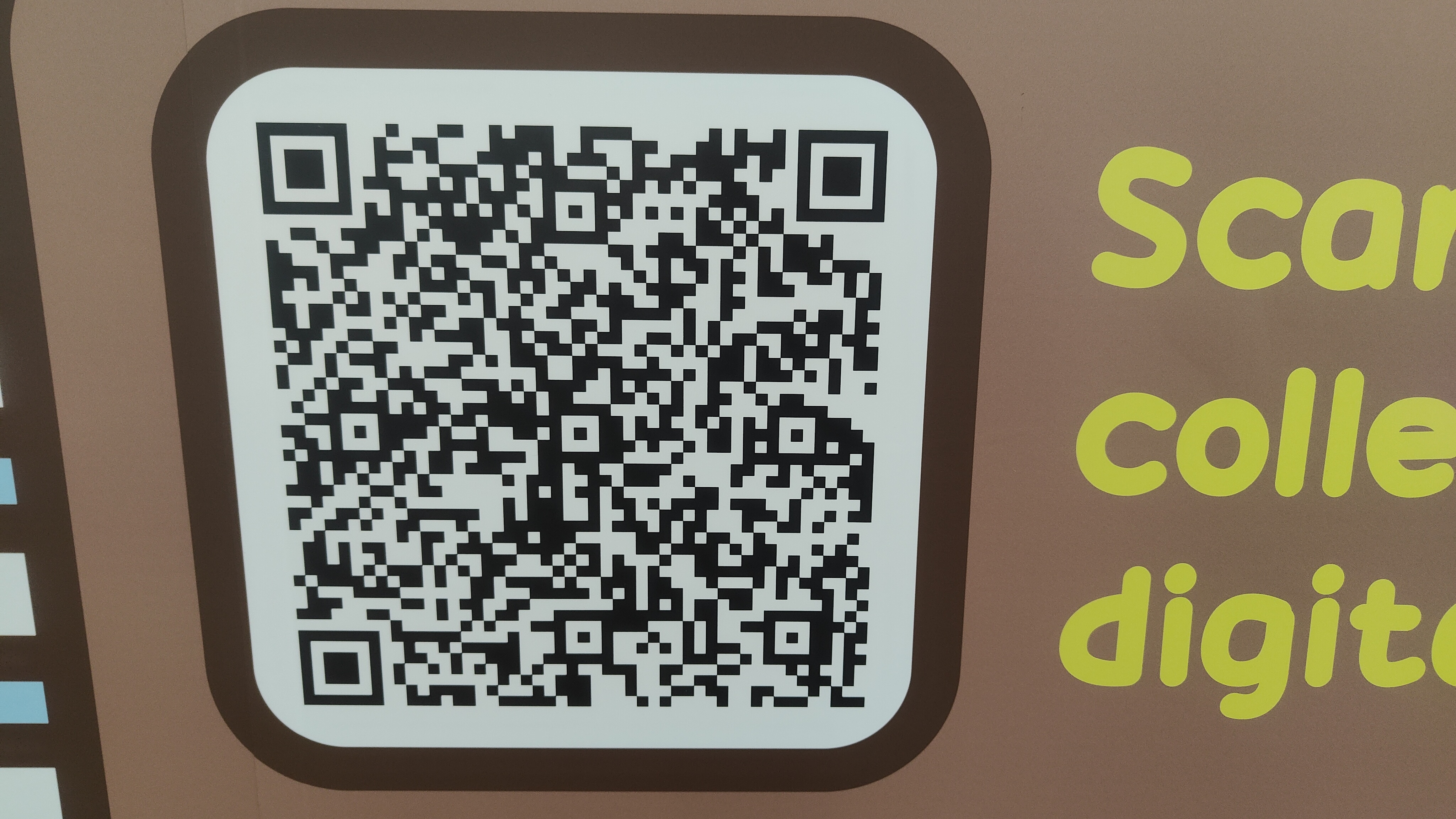 a5e212f5-0701-42cc-b4c7-02c2242a17cc.jpg