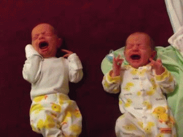 a71a278e-7ce3-4894-ac7e-c94b1e4e60f9.gif
