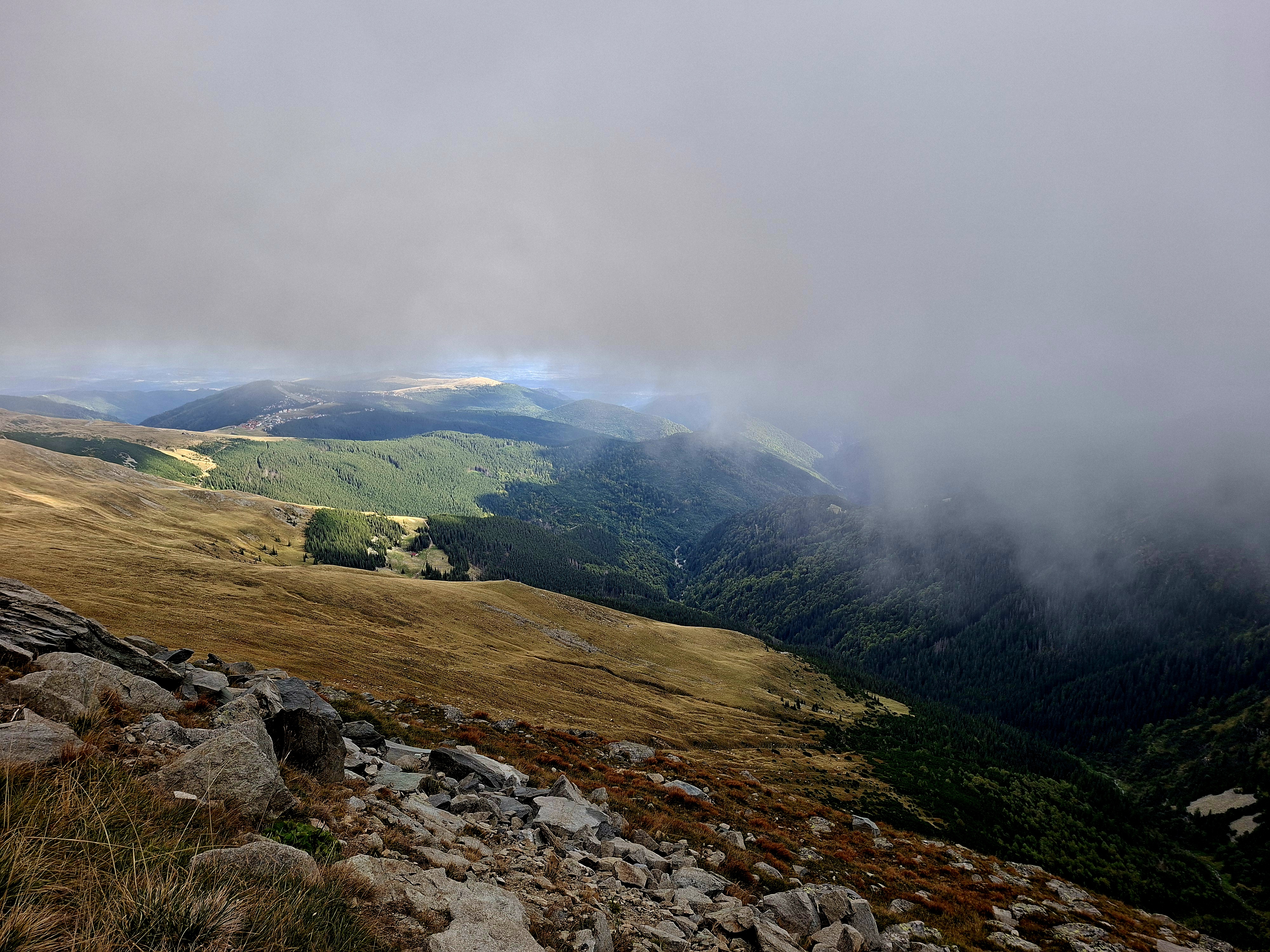 c269d0c3-d5b0-40cc-b501-e58249a2390d.jpg