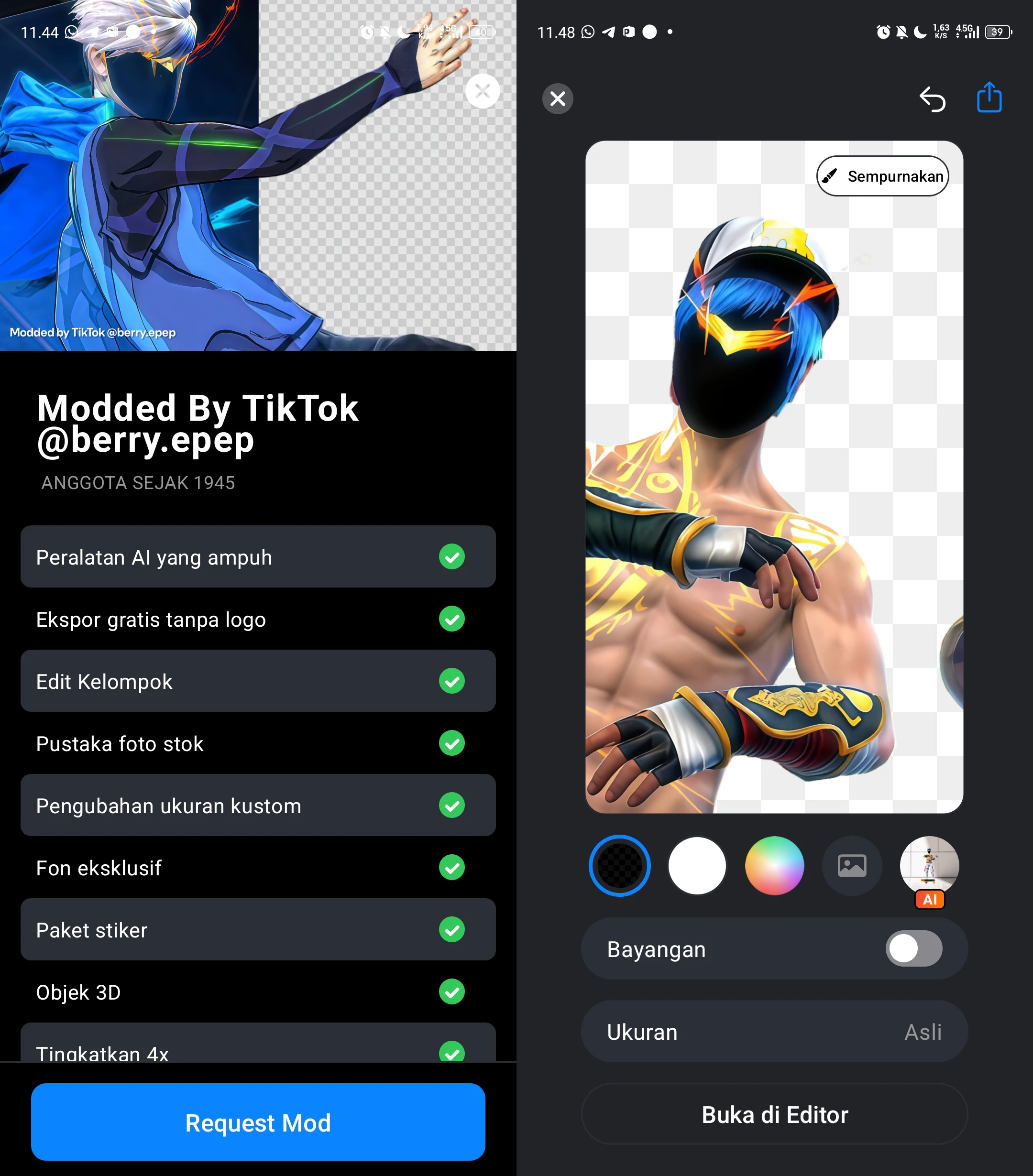 Preview PixelCut Pro
