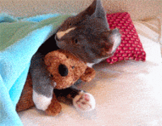 d079aa47-b447-44bb-8a56-e7dc661046f7.gif