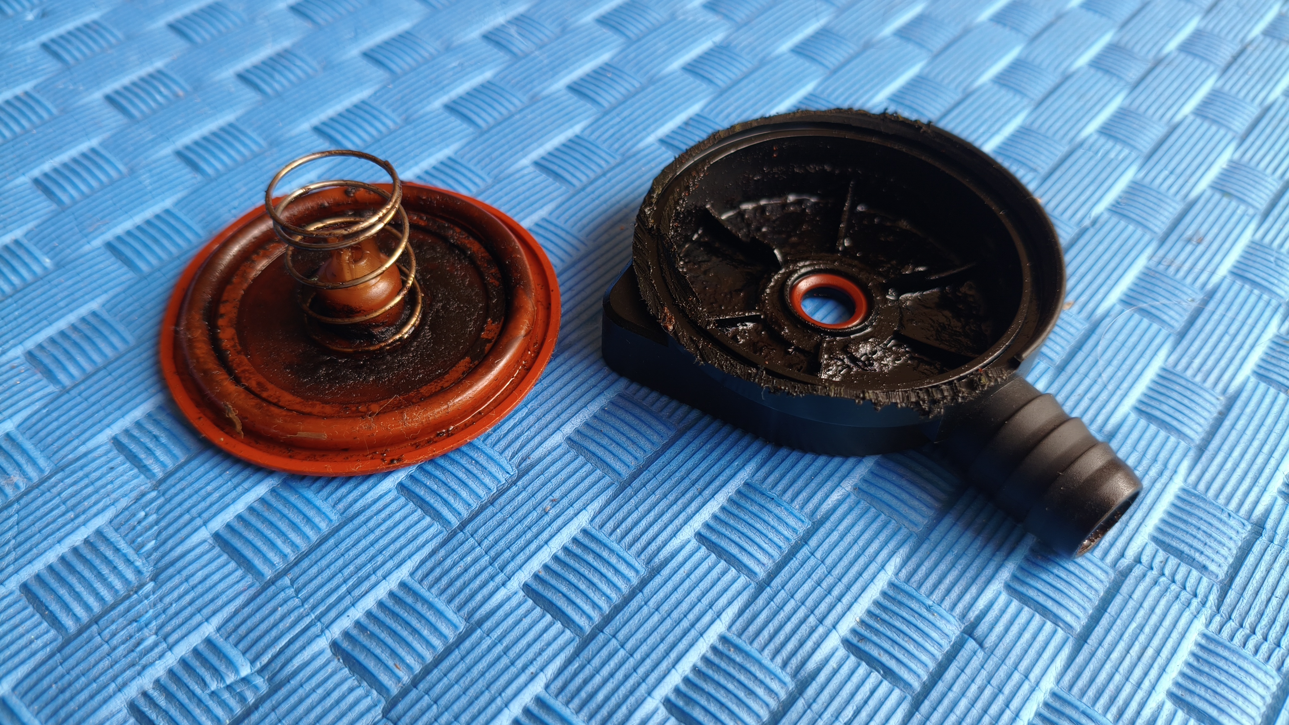 d1cc1932-5354-45cc-9844-94b85128cb02.jpg
